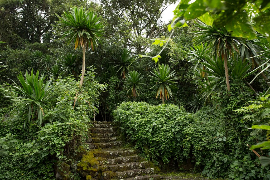 Buhanga Eco-Park.