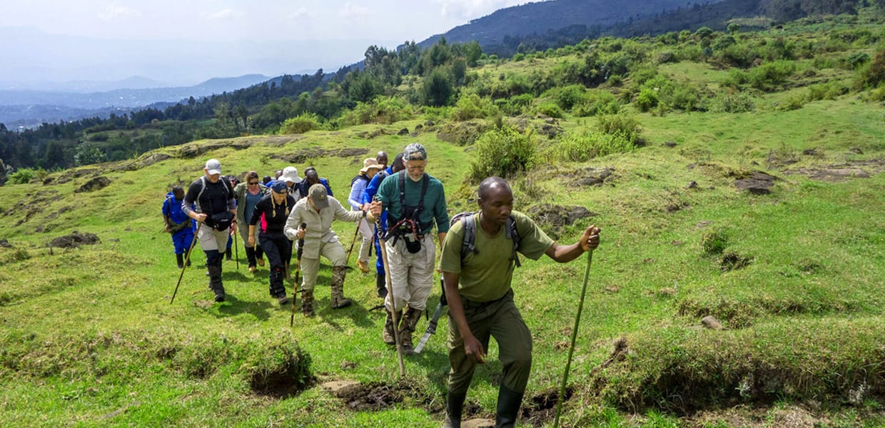 Climbers hiking Bisoke mountain in Rwanda. Credit: Uganda Rwanda Gorilla Tours