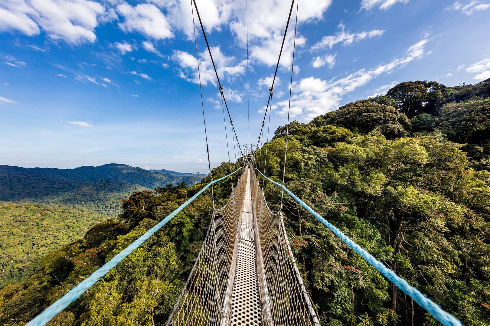 NYUNGWE NATIONAL PARK.